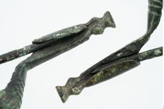 Foto von Bronzepaukenfibel (NHMW-PRAE-025985)